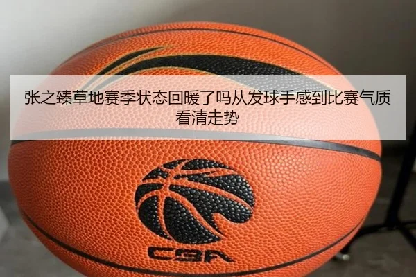 张之臻草地赛季状态回暖了吗从发球手感到比赛气质看清走势 - ogzhenren